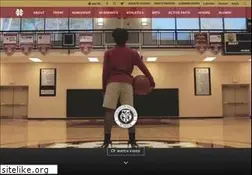 Sites similar to chslions.com