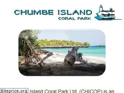 Sites similar to chumbeisland.com