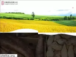 Sites similar to chunghom.com.tw