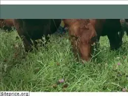 Sites similar to churchillreserve.com