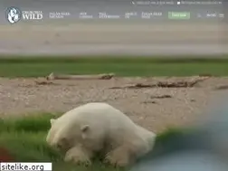 Sites similar to churchillwild.com