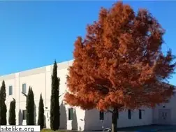 Sites similar to churchinplano.org