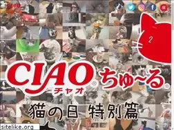 Sites similar to ciao-churu.fun