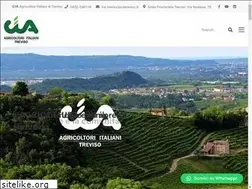 Sites similar to ciatreviso.it