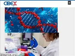 Sites similar to cibex.com.pk