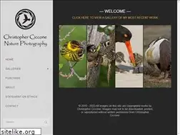 Sites similar to cicconephoto.com