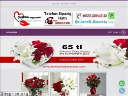 Sites similar to ciceginizvar.com