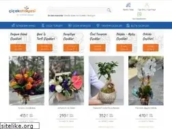 Sites similar to cicekatolyesi.com