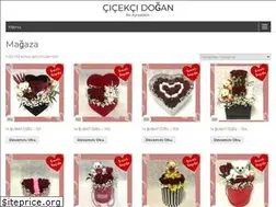 Sites similar to cicekcidogan.com