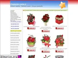 Sites similar to cicekciler.name.tr