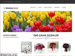 Sites similar to cicekcimorganizasyon.com