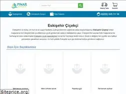 Sites similar to cicekeskisehir.com