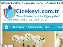 Sites similar to cicekevi.com.tr