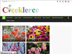 Sites similar to ciceklerce.com