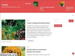 Sites similar to ciceklerim.org