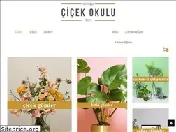 Sites similar to cicekokulu.com