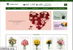 Sites similar to cicekpazari.com.tr