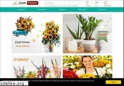 Sites similar to cicekpostasi.com