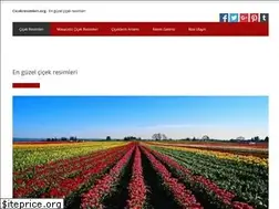 Sites similar to cicekresimleri.org
