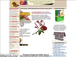 Sites similar to ciceksiteleri.com