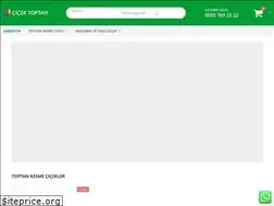 Sites similar to cicektoptan.com