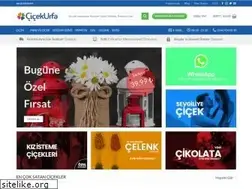 Sites similar to cicekurfa.com