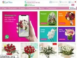 Sites similar to cicekyildizi.com