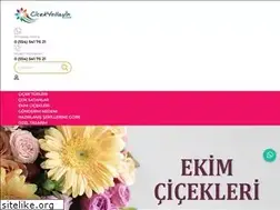 Sites similar to cicekyollayin.com