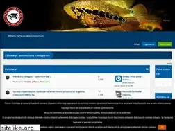 Sites similar to cichlidae.pl