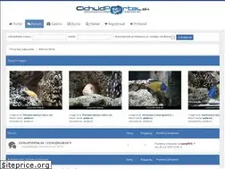 Sites similar to cichlidportal.sk