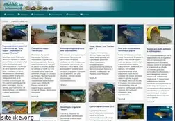 Sites similar to cichlids.ru