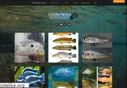 Sites similar to ciclidos-mexico.com