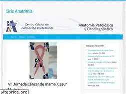Sites similar to cicloanatomia.com