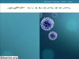 Sites similar to cidara.com