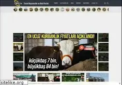 Sites similar to ciftcitv.com