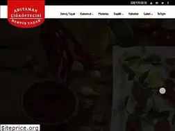 Sites similar to cigkoftecidervisyasar.com