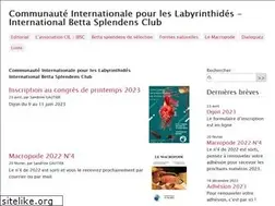 Sites similar to cil-ibsc.fr