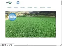Sites similar to cileite.com.br