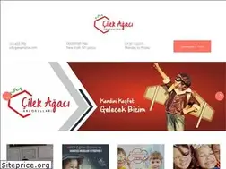 Sites similar to cilekagacianaokulu.k12.tr