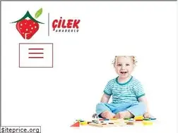 Sites similar to cilekanaokulu.com