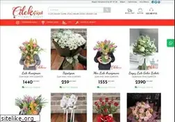 Sites similar to cilekcicek.com