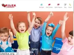 Sites similar to cilekcocukevi.com