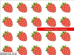 Sites similar to cilekyazilim.com