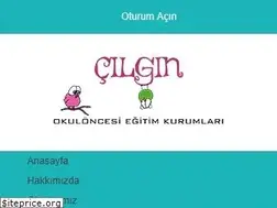 Sites similar to cilginokuloncesi.com