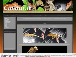 Sites similar to ciliatus.it