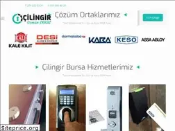 Sites similar to cilingirbursa.net