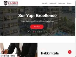 Sites similar to cilingirelektronik.com.tr