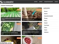Sites similar to cillianmurphy.ru