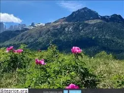 cimatosa.it