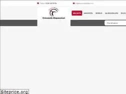 Sites similar to cimnastikaletleri.com